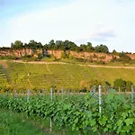 Weinblick Lejlighed *