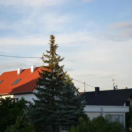 Weinblick *