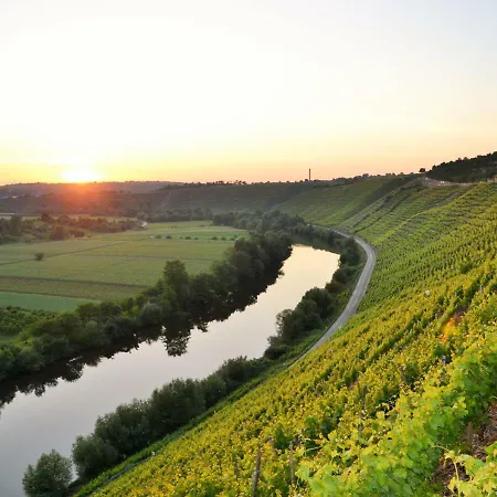 Weinblick *