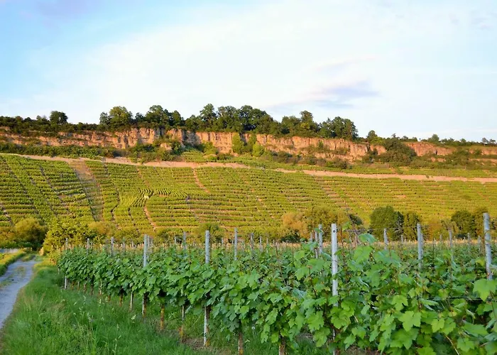 Weinblick דירה *