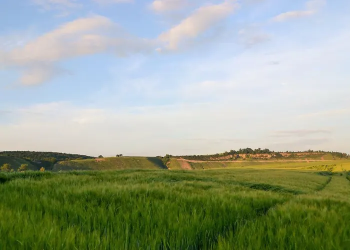 Weinblick בסיגהיים
